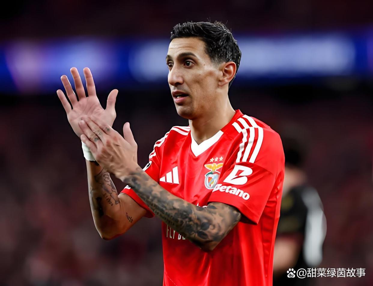 葡超赛程吃紧；本菲卡今晨再遭质疑；悬念犹存；年轻球员得到机会(葡超本菲卡什么水平)